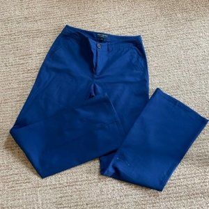 Blue Banana Republic Martin Fit Pants
